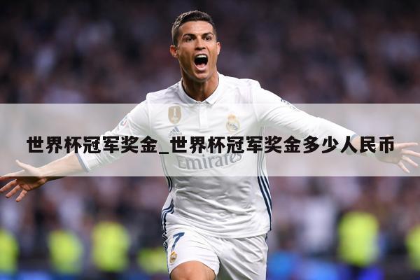 世界杯冠军奖金_世界杯冠军奖金多少人民币