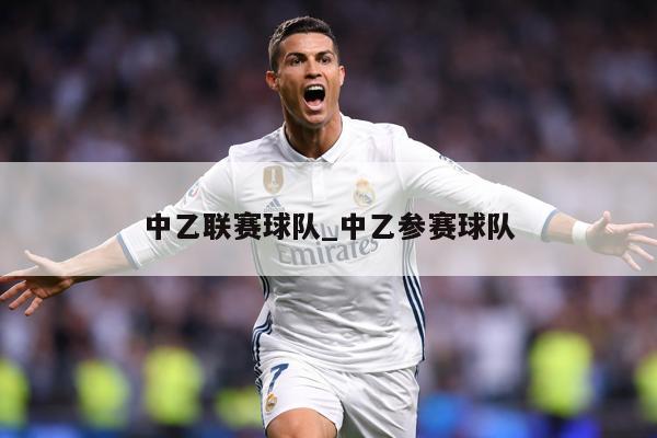 中乙联赛球队_中乙参赛球队