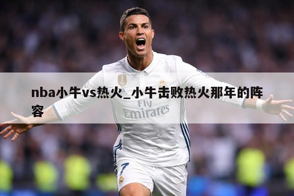 nba小牛vs热火_小牛击败热火那年的阵容